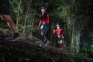 BIB: 
                            <button type="button" onclick="openModal(19472584)" class="btn btn-primary btn-sm float-right btn-popup" data-toggle="modal" data-target=".modal-high-quality">
                        <i class="fas fa-shopping-cart"></i> Add to Cart
                    </button>
                                            <button type="button" onclick="isThisMe(19472584, true)" class="btn btn-success btn-sm float-right btn-popup btn-isme hidden" data-toggle="tooltip" data-placement="bottom" title="นี่คือรูปของคุณใช่ไหม คลิกที่นี่เพื่อเอาเข้าอัลบั้ม">
                        <i class="fas fa-plus"></i> Add to album
                    </button>
                    <button type="button" onclick="isThisMe(19472584, false)" class="btn btn-warning btn-sm float-right btn-popup btn-isnotme hidden">
                        <i class="fas fa-ban"></i> Remove from album
                    </button>