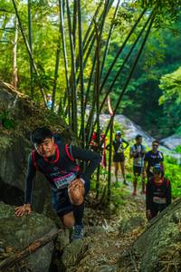 BIB: 
                            <button type="button" onclick="openModal(19468029)" class="btn btn-primary btn-sm float-right btn-popup" data-toggle="modal" data-target=".modal-high-quality">
                        <i class="fas fa-shopping-cart"></i> Add to Cart
                    </button>
                                            <button type="button" onclick="isThisMe(19468029, true)" class="btn btn-success btn-sm float-right btn-popup btn-isme hidden" data-toggle="tooltip" data-placement="bottom" title="นี่คือรูปของคุณใช่ไหม คลิกที่นี่เพื่อเอาเข้าอัลบั้ม">
                        <i class="fas fa-plus"></i> Add to album
                    </button>
                    <button type="button" onclick="isThisMe(19468029, false)" class="btn btn-warning btn-sm float-right btn-popup btn-isnotme hidden">
                        <i class="fas fa-ban"></i> Remove from album
                    </button>