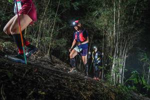 BIB: 
                            <button type="button" onclick="openModal(19472116)" class="btn btn-primary btn-sm float-right btn-popup" data-toggle="modal" data-target=".modal-high-quality">
                        <i class="fas fa-shopping-cart"></i> Add to Cart
                    </button>
                                            <button type="button" onclick="isThisMe(19472116, true)" class="btn btn-success btn-sm float-right btn-popup btn-isme hidden" data-toggle="tooltip" data-placement="bottom" title="นี่คือรูปของคุณใช่ไหม คลิกที่นี่เพื่อเอาเข้าอัลบั้ม">
                        <i class="fas fa-plus"></i> Add to album
                    </button>
                    <button type="button" onclick="isThisMe(19472116, false)" class="btn btn-warning btn-sm float-right btn-popup btn-isnotme hidden">
                        <i class="fas fa-ban"></i> Remove from album
                    </button>