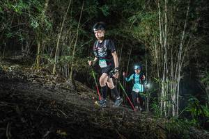 BIB: 
                            <button type="button" onclick="openModal(19472386)" class="btn btn-primary btn-sm float-right btn-popup" data-toggle="modal" data-target=".modal-high-quality">
                        <i class="fas fa-shopping-cart"></i> Add to Cart
                    </button>
                                            <button type="button" onclick="isThisMe(19472386, true)" class="btn btn-success btn-sm float-right btn-popup btn-isme hidden" data-toggle="tooltip" data-placement="bottom" title="นี่คือรูปของคุณใช่ไหม คลิกที่นี่เพื่อเอาเข้าอัลบั้ม">
                        <i class="fas fa-plus"></i> Add to album
                    </button>
                    <button type="button" onclick="isThisMe(19472386, false)" class="btn btn-warning btn-sm float-right btn-popup btn-isnotme hidden">
                        <i class="fas fa-ban"></i> Remove from album
                    </button>