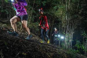 BIB: 
                            <button type="button" onclick="openModal(19471848)" class="btn btn-primary btn-sm float-right btn-popup" data-toggle="modal" data-target=".modal-high-quality">
                        <i class="fas fa-shopping-cart"></i> Add to Cart
                    </button>
                                            <button type="button" onclick="isThisMe(19471848, true)" class="btn btn-success btn-sm float-right btn-popup btn-isme hidden" data-toggle="tooltip" data-placement="bottom" title="นี่คือรูปของคุณใช่ไหม คลิกที่นี่เพื่อเอาเข้าอัลบั้ม">
                        <i class="fas fa-plus"></i> Add to album
                    </button>
                    <button type="button" onclick="isThisMe(19471848, false)" class="btn btn-warning btn-sm float-right btn-popup btn-isnotme hidden">
                        <i class="fas fa-ban"></i> Remove from album
                    </button>