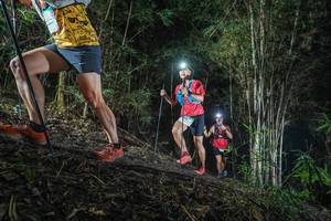 BIB: 
                            <button type="button" onclick="openModal(19472426)" class="btn btn-primary btn-sm float-right btn-popup" data-toggle="modal" data-target=".modal-high-quality">
                        <i class="fas fa-shopping-cart"></i> Add to Cart
                    </button>
                                            <button type="button" onclick="isThisMe(19472426, true)" class="btn btn-success btn-sm float-right btn-popup btn-isme hidden" data-toggle="tooltip" data-placement="bottom" title="นี่คือรูปของคุณใช่ไหม คลิกที่นี่เพื่อเอาเข้าอัลบั้ม">
                        <i class="fas fa-plus"></i> Add to album
                    </button>
                    <button type="button" onclick="isThisMe(19472426, false)" class="btn btn-warning btn-sm float-right btn-popup btn-isnotme hidden">
                        <i class="fas fa-ban"></i> Remove from album
                    </button>