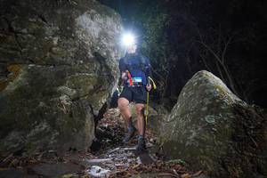 BIB: 
                            <button type="button" onclick="openModal(19492888)" class="btn btn-primary btn-sm float-right btn-popup" data-toggle="modal" data-target=".modal-high-quality">
                        <i class="fas fa-shopping-cart"></i> Add to Cart
                    </button>
                                            <button type="button" onclick="isThisMe(19492888, true)" class="btn btn-success btn-sm float-right btn-popup btn-isme hidden" data-toggle="tooltip" data-placement="bottom" title="นี่คือรูปของคุณใช่ไหม คลิกที่นี่เพื่อเอาเข้าอัลบั้ม">
                        <i class="fas fa-plus"></i> Add to album
                    </button>
                    <button type="button" onclick="isThisMe(19492888, false)" class="btn btn-warning btn-sm float-right btn-popup btn-isnotme hidden">
                        <i class="fas fa-ban"></i> Remove from album
                    </button>