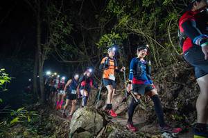 BIB: 
                            <button type="button" onclick="openModal(19527516)" class="btn btn-primary btn-sm float-right btn-popup" data-toggle="modal" data-target=".modal-high-quality">
                        <i class="fas fa-shopping-cart"></i> Add to Cart
                    </button>
                                            <button type="button" onclick="isThisMe(19527516, true)" class="btn btn-success btn-sm float-right btn-popup btn-isme hidden" data-toggle="tooltip" data-placement="bottom" title="นี่คือรูปของคุณใช่ไหม คลิกที่นี่เพื่อเอาเข้าอัลบั้ม">
                        <i class="fas fa-plus"></i> Add to album
                    </button>
                    <button type="button" onclick="isThisMe(19527516, false)" class="btn btn-warning btn-sm float-right btn-popup btn-isnotme hidden">
                        <i class="fas fa-ban"></i> Remove from album
                    </button>