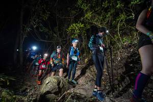 BIB: 
                            <button type="button" onclick="openModal(19531751)" class="btn btn-primary btn-sm float-right btn-popup" data-toggle="modal" data-target=".modal-high-quality">
                        <i class="fas fa-shopping-cart"></i> Add to Cart
                    </button>
                                            <button type="button" onclick="isThisMe(19531751, true)" class="btn btn-success btn-sm float-right btn-popup btn-isme hidden" data-toggle="tooltip" data-placement="bottom" title="นี่คือรูปของคุณใช่ไหม คลิกที่นี่เพื่อเอาเข้าอัลบั้ม">
                        <i class="fas fa-plus"></i> Add to album
                    </button>
                    <button type="button" onclick="isThisMe(19531751, false)" class="btn btn-warning btn-sm float-right btn-popup btn-isnotme hidden">
                        <i class="fas fa-ban"></i> Remove from album
                    </button>