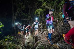 BIB: 
                            <button type="button" onclick="openModal(19528902)" class="btn btn-primary btn-sm float-right btn-popup" data-toggle="modal" data-target=".modal-high-quality">
                        <i class="fas fa-shopping-cart"></i> Add to Cart
                    </button>
                                            <button type="button" onclick="isThisMe(19528902, true)" class="btn btn-success btn-sm float-right btn-popup btn-isme hidden" data-toggle="tooltip" data-placement="bottom" title="นี่คือรูปของคุณใช่ไหม คลิกที่นี่เพื่อเอาเข้าอัลบั้ม">
                        <i class="fas fa-plus"></i> Add to album
                    </button>
                    <button type="button" onclick="isThisMe(19528902, false)" class="btn btn-warning btn-sm float-right btn-popup btn-isnotme hidden">
                        <i class="fas fa-ban"></i> Remove from album
                    </button>