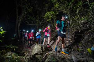 BIB: 
                            <button type="button" onclick="openModal(19529897)" class="btn btn-primary btn-sm float-right btn-popup" data-toggle="modal" data-target=".modal-high-quality">
                        <i class="fas fa-shopping-cart"></i> Add to Cart
                    </button>
                                            <button type="button" onclick="isThisMe(19529897, true)" class="btn btn-success btn-sm float-right btn-popup btn-isme hidden" data-toggle="tooltip" data-placement="bottom" title="นี่คือรูปของคุณใช่ไหม คลิกที่นี่เพื่อเอาเข้าอัลบั้ม">
                        <i class="fas fa-plus"></i> Add to album
                    </button>
                    <button type="button" onclick="isThisMe(19529897, false)" class="btn btn-warning btn-sm float-right btn-popup btn-isnotme hidden">
                        <i class="fas fa-ban"></i> Remove from album
                    </button>