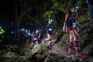 BIB: 
                            <button type="button" onclick="openModal(19529645)" class="btn btn-primary btn-sm float-right btn-popup" data-toggle="modal" data-target=".modal-high-quality">
                        <i class="fas fa-shopping-cart"></i> Add to Cart
                    </button>
                                            <button type="button" onclick="isThisMe(19529645, true)" class="btn btn-success btn-sm float-right btn-popup btn-isme hidden" data-toggle="tooltip" data-placement="bottom" title="นี่คือรูปของคุณใช่ไหม คลิกที่นี่เพื่อเอาเข้าอัลบั้ม">
                        <i class="fas fa-plus"></i> Add to album
                    </button>
                    <button type="button" onclick="isThisMe(19529645, false)" class="btn btn-warning btn-sm float-right btn-popup btn-isnotme hidden">
                        <i class="fas fa-ban"></i> Remove from album
                    </button>