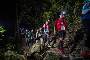 BIB: 
                            <button type="button" onclick="openModal(19530007)" class="btn btn-primary btn-sm float-right btn-popup" data-toggle="modal" data-target=".modal-high-quality">
                        <i class="fas fa-shopping-cart"></i> Add to Cart
                    </button>
                                            <button type="button" onclick="isThisMe(19530007, true)" class="btn btn-success btn-sm float-right btn-popup btn-isme hidden" data-toggle="tooltip" data-placement="bottom" title="นี่คือรูปของคุณใช่ไหม คลิกที่นี่เพื่อเอาเข้าอัลบั้ม">
                        <i class="fas fa-plus"></i> Add to album
                    </button>
                    <button type="button" onclick="isThisMe(19530007, false)" class="btn btn-warning btn-sm float-right btn-popup btn-isnotme hidden">
                        <i class="fas fa-ban"></i> Remove from album
                    </button>