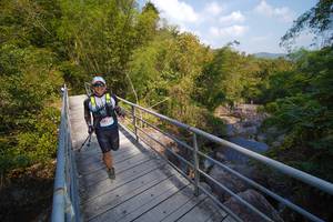 BIB: 
                            <button type="button" onclick="openModal(19535596)" class="btn btn-primary btn-sm float-right btn-popup" data-toggle="modal" data-target=".modal-high-quality">
                        <i class="fas fa-shopping-cart"></i> Add to Cart
                    </button>
                                            <button type="button" onclick="isThisMe(19535596, true)" class="btn btn-success btn-sm float-right btn-popup btn-isme hidden" data-toggle="tooltip" data-placement="bottom" title="นี่คือรูปของคุณใช่ไหม คลิกที่นี่เพื่อเอาเข้าอัลบั้ม">
                        <i class="fas fa-plus"></i> Add to album
                    </button>
                    <button type="button" onclick="isThisMe(19535596, false)" class="btn btn-warning btn-sm float-right btn-popup btn-isnotme hidden">
                        <i class="fas fa-ban"></i> Remove from album
                    </button>