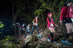 BIB: 
                            <button type="button" onclick="openModal(19528340)" class="btn btn-primary btn-sm float-right btn-popup" data-toggle="modal" data-target=".modal-high-quality">
                        <i class="fas fa-shopping-cart"></i> Add to Cart
                    </button>
                                            <button type="button" onclick="isThisMe(19528340, true)" class="btn btn-success btn-sm float-right btn-popup btn-isme hidden" data-toggle="tooltip" data-placement="bottom" title="นี่คือรูปของคุณใช่ไหม คลิกที่นี่เพื่อเอาเข้าอัลบั้ม">
                        <i class="fas fa-plus"></i> Add to album
                    </button>
                    <button type="button" onclick="isThisMe(19528340, false)" class="btn btn-warning btn-sm float-right btn-popup btn-isnotme hidden">
                        <i class="fas fa-ban"></i> Remove from album
                    </button>