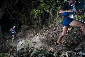 BIB: 
                            <button type="button" onclick="openModal(19526614)" class="btn btn-primary btn-sm float-right btn-popup" data-toggle="modal" data-target=".modal-high-quality">
                        <i class="fas fa-shopping-cart"></i> Add to Cart
                    </button>
                                            <button type="button" onclick="isThisMe(19526614, true)" class="btn btn-success btn-sm float-right btn-popup btn-isme hidden" data-toggle="tooltip" data-placement="bottom" title="นี่คือรูปของคุณใช่ไหม คลิกที่นี่เพื่อเอาเข้าอัลบั้ม">
                        <i class="fas fa-plus"></i> Add to album
                    </button>
                    <button type="button" onclick="isThisMe(19526614, false)" class="btn btn-warning btn-sm float-right btn-popup btn-isnotme hidden">
                        <i class="fas fa-ban"></i> Remove from album
                    </button>