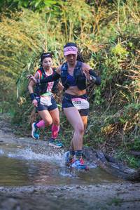 BIB: 
                            <button type="button" onclick="openModal(19498156)" class="btn btn-primary btn-sm float-right btn-popup" data-toggle="modal" data-target=".modal-high-quality">
                        <i class="fas fa-shopping-cart"></i> Add to Cart
                    </button>
                                            <button type="button" onclick="isThisMe(19498156, true)" class="btn btn-success btn-sm float-right btn-popup btn-isme hidden" data-toggle="tooltip" data-placement="bottom" title="นี่คือรูปของคุณใช่ไหม คลิกที่นี่เพื่อเอาเข้าอัลบั้ม">
                        <i class="fas fa-plus"></i> Add to album
                    </button>
                    <button type="button" onclick="isThisMe(19498156, false)" class="btn btn-warning btn-sm float-right btn-popup btn-isnotme hidden">
                        <i class="fas fa-ban"></i> Remove from album
                    </button>