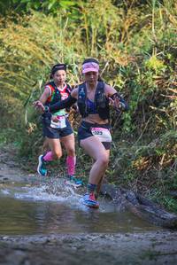 BIB: 
                            <button type="button" onclick="openModal(19498155)" class="btn btn-primary btn-sm float-right btn-popup" data-toggle="modal" data-target=".modal-high-quality">
                        <i class="fas fa-shopping-cart"></i> Add to Cart
                    </button>
                                            <button type="button" onclick="isThisMe(19498155, true)" class="btn btn-success btn-sm float-right btn-popup btn-isme hidden" data-toggle="tooltip" data-placement="bottom" title="นี่คือรูปของคุณใช่ไหม คลิกที่นี่เพื่อเอาเข้าอัลบั้ม">
                        <i class="fas fa-plus"></i> Add to album
                    </button>
                    <button type="button" onclick="isThisMe(19498155, false)" class="btn btn-warning btn-sm float-right btn-popup btn-isnotme hidden">
                        <i class="fas fa-ban"></i> Remove from album
                    </button>