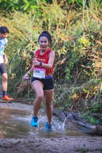 BIB: 
                            <button type="button" onclick="openModal(19497459)" class="btn btn-primary btn-sm float-right btn-popup" data-toggle="modal" data-target=".modal-high-quality">
                        <i class="fas fa-shopping-cart"></i> Add to Cart
                    </button>
                                            <button type="button" onclick="isThisMe(19497459, true)" class="btn btn-success btn-sm float-right btn-popup btn-isme hidden" data-toggle="tooltip" data-placement="bottom" title="นี่คือรูปของคุณใช่ไหม คลิกที่นี่เพื่อเอาเข้าอัลบั้ม">
                        <i class="fas fa-plus"></i> Add to album
                    </button>
                    <button type="button" onclick="isThisMe(19497459, false)" class="btn btn-warning btn-sm float-right btn-popup btn-isnotme hidden">
                        <i class="fas fa-ban"></i> Remove from album
                    </button>