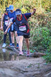 BIB: 
                            <button type="button" onclick="openModal(19499413)" class="btn btn-primary btn-sm float-right btn-popup" data-toggle="modal" data-target=".modal-high-quality">
                        <i class="fas fa-shopping-cart"></i> Add to Cart
                    </button>
                                            <button type="button" onclick="isThisMe(19499413, true)" class="btn btn-success btn-sm float-right btn-popup btn-isme hidden" data-toggle="tooltip" data-placement="bottom" title="นี่คือรูปของคุณใช่ไหม คลิกที่นี่เพื่อเอาเข้าอัลบั้ม">
                        <i class="fas fa-plus"></i> Add to album
                    </button>
                    <button type="button" onclick="isThisMe(19499413, false)" class="btn btn-warning btn-sm float-right btn-popup btn-isnotme hidden">
                        <i class="fas fa-ban"></i> Remove from album
                    </button>