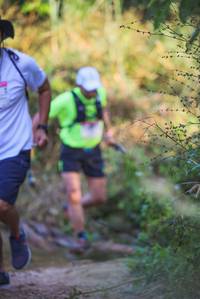 BIB: 
                            <button type="button" onclick="openModal(19499141)" class="btn btn-primary btn-sm float-right btn-popup" data-toggle="modal" data-target=".modal-high-quality">
                        <i class="fas fa-shopping-cart"></i> Add to Cart
                    </button>
                                            <button type="button" onclick="isThisMe(19499141, true)" class="btn btn-success btn-sm float-right btn-popup btn-isme hidden" data-toggle="tooltip" data-placement="bottom" title="นี่คือรูปของคุณใช่ไหม คลิกที่นี่เพื่อเอาเข้าอัลบั้ม">
                        <i class="fas fa-plus"></i> Add to album
                    </button>
                    <button type="button" onclick="isThisMe(19499141, false)" class="btn btn-warning btn-sm float-right btn-popup btn-isnotme hidden">
                        <i class="fas fa-ban"></i> Remove from album
                    </button>