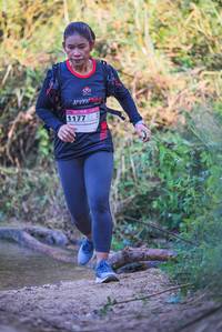 BIB: 
                            <button type="button" onclick="openModal(19499735)" class="btn btn-primary btn-sm float-right btn-popup" data-toggle="modal" data-target=".modal-high-quality">
                        <i class="fas fa-shopping-cart"></i> Add to Cart
                    </button>
                                            <button type="button" onclick="isThisMe(19499735, true)" class="btn btn-success btn-sm float-right btn-popup btn-isme hidden" data-toggle="tooltip" data-placement="bottom" title="นี่คือรูปของคุณใช่ไหม คลิกที่นี่เพื่อเอาเข้าอัลบั้ม">
                        <i class="fas fa-plus"></i> Add to album
                    </button>
                    <button type="button" onclick="isThisMe(19499735, false)" class="btn btn-warning btn-sm float-right btn-popup btn-isnotme hidden">
                        <i class="fas fa-ban"></i> Remove from album
                    </button>