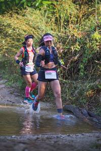 BIB: 
                            <button type="button" onclick="openModal(19498150)" class="btn btn-primary btn-sm float-right btn-popup" data-toggle="modal" data-target=".modal-high-quality">
                        <i class="fas fa-shopping-cart"></i> Add to Cart
                    </button>
                                            <button type="button" onclick="isThisMe(19498150, true)" class="btn btn-success btn-sm float-right btn-popup btn-isme hidden" data-toggle="tooltip" data-placement="bottom" title="นี่คือรูปของคุณใช่ไหม คลิกที่นี่เพื่อเอาเข้าอัลบั้ม">
                        <i class="fas fa-plus"></i> Add to album
                    </button>
                    <button type="button" onclick="isThisMe(19498150, false)" class="btn btn-warning btn-sm float-right btn-popup btn-isnotme hidden">
                        <i class="fas fa-ban"></i> Remove from album
                    </button>