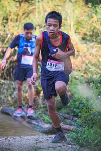 BIB: 
                            <button type="button" onclick="openModal(19498183)" class="btn btn-primary btn-sm float-right btn-popup" data-toggle="modal" data-target=".modal-high-quality">
                        <i class="fas fa-shopping-cart"></i> Add to Cart
                    </button>
                                            <button type="button" onclick="isThisMe(19498183, true)" class="btn btn-success btn-sm float-right btn-popup btn-isme hidden" data-toggle="tooltip" data-placement="bottom" title="นี่คือรูปของคุณใช่ไหม คลิกที่นี่เพื่อเอาเข้าอัลบั้ม">
                        <i class="fas fa-plus"></i> Add to album
                    </button>
                    <button type="button" onclick="isThisMe(19498183, false)" class="btn btn-warning btn-sm float-right btn-popup btn-isnotme hidden">
                        <i class="fas fa-ban"></i> Remove from album
                    </button>