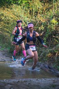 BIB: 
                            <button type="button" onclick="openModal(19498153)" class="btn btn-primary btn-sm float-right btn-popup" data-toggle="modal" data-target=".modal-high-quality">
                        <i class="fas fa-shopping-cart"></i> Add to Cart
                    </button>
                                            <button type="button" onclick="isThisMe(19498153, true)" class="btn btn-success btn-sm float-right btn-popup btn-isme hidden" data-toggle="tooltip" data-placement="bottom" title="นี่คือรูปของคุณใช่ไหม คลิกที่นี่เพื่อเอาเข้าอัลบั้ม">
                        <i class="fas fa-plus"></i> Add to album
                    </button>
                    <button type="button" onclick="isThisMe(19498153, false)" class="btn btn-warning btn-sm float-right btn-popup btn-isnotme hidden">
                        <i class="fas fa-ban"></i> Remove from album
                    </button>