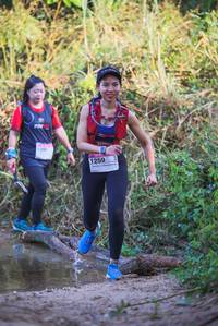 BIB: 
                            <button type="button" onclick="openModal(19499382)" class="btn btn-primary btn-sm float-right btn-popup" data-toggle="modal" data-target=".modal-high-quality">
                        <i class="fas fa-shopping-cart"></i> Add to Cart
                    </button>
                                            <button type="button" onclick="isThisMe(19499382, true)" class="btn btn-success btn-sm float-right btn-popup btn-isme hidden" data-toggle="tooltip" data-placement="bottom" title="นี่คือรูปของคุณใช่ไหม คลิกที่นี่เพื่อเอาเข้าอัลบั้ม">
                        <i class="fas fa-plus"></i> Add to album
                    </button>
                    <button type="button" onclick="isThisMe(19499382, false)" class="btn btn-warning btn-sm float-right btn-popup btn-isnotme hidden">
                        <i class="fas fa-ban"></i> Remove from album
                    </button>