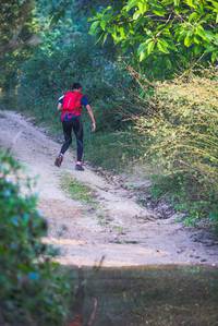 BIB: 
                            <button type="button" onclick="openModal(19497306)" class="btn btn-primary btn-sm float-right btn-popup" data-toggle="modal" data-target=".modal-high-quality">
                        <i class="fas fa-shopping-cart"></i> Add to Cart
                    </button>
                                            <button type="button" onclick="isThisMe(19497306, true)" class="btn btn-success btn-sm float-right btn-popup btn-isme hidden" data-toggle="tooltip" data-placement="bottom" title="นี่คือรูปของคุณใช่ไหม คลิกที่นี่เพื่อเอาเข้าอัลบั้ม">
                        <i class="fas fa-plus"></i> Add to album
                    </button>
                    <button type="button" onclick="isThisMe(19497306, false)" class="btn btn-warning btn-sm float-right btn-popup btn-isnotme hidden">
                        <i class="fas fa-ban"></i> Remove from album
                    </button>