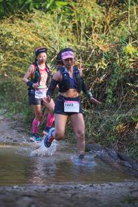 BIB: 
                            <button type="button" onclick="openModal(19498151)" class="btn btn-primary btn-sm float-right btn-popup" data-toggle="modal" data-target=".modal-high-quality">
                        <i class="fas fa-shopping-cart"></i> Add to Cart
                    </button>
                                            <button type="button" onclick="isThisMe(19498151, true)" class="btn btn-success btn-sm float-right btn-popup btn-isme hidden" data-toggle="tooltip" data-placement="bottom" title="นี่คือรูปของคุณใช่ไหม คลิกที่นี่เพื่อเอาเข้าอัลบั้ม">
                        <i class="fas fa-plus"></i> Add to album
                    </button>
                    <button type="button" onclick="isThisMe(19498151, false)" class="btn btn-warning btn-sm float-right btn-popup btn-isnotme hidden">
                        <i class="fas fa-ban"></i> Remove from album
                    </button>