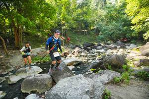 BIB: 
                            <button type="button" onclick="openModal(19516471)" class="btn btn-primary btn-sm float-right btn-popup" data-toggle="modal" data-target=".modal-high-quality">
                        <i class="fas fa-shopping-cart"></i> Add to Cart
                    </button>
                                            <button type="button" onclick="isThisMe(19516471, true)" class="btn btn-success btn-sm float-right btn-popup btn-isme hidden" data-toggle="tooltip" data-placement="bottom" title="นี่คือรูปของคุณใช่ไหม คลิกที่นี่เพื่อเอาเข้าอัลบั้ม">
                        <i class="fas fa-plus"></i> Add to album
                    </button>
                    <button type="button" onclick="isThisMe(19516471, false)" class="btn btn-warning btn-sm float-right btn-popup btn-isnotme hidden">
                        <i class="fas fa-ban"></i> Remove from album
                    </button>