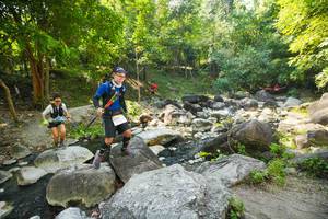 BIB: 
                            <button type="button" onclick="openModal(19516470)" class="btn btn-primary btn-sm float-right btn-popup" data-toggle="modal" data-target=".modal-high-quality">
                        <i class="fas fa-shopping-cart"></i> Add to Cart
                    </button>
                                            <button type="button" onclick="isThisMe(19516470, true)" class="btn btn-success btn-sm float-right btn-popup btn-isme hidden" data-toggle="tooltip" data-placement="bottom" title="นี่คือรูปของคุณใช่ไหม คลิกที่นี่เพื่อเอาเข้าอัลบั้ม">
                        <i class="fas fa-plus"></i> Add to album
                    </button>
                    <button type="button" onclick="isThisMe(19516470, false)" class="btn btn-warning btn-sm float-right btn-popup btn-isnotme hidden">
                        <i class="fas fa-ban"></i> Remove from album
                    </button>