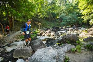 BIB: 
                            <button type="button" onclick="openModal(19516542)" class="btn btn-primary btn-sm float-right btn-popup" data-toggle="modal" data-target=".modal-high-quality">
                        <i class="fas fa-shopping-cart"></i> Add to Cart
                    </button>
                                            <button type="button" onclick="isThisMe(19516542, true)" class="btn btn-success btn-sm float-right btn-popup btn-isme hidden" data-toggle="tooltip" data-placement="bottom" title="นี่คือรูปของคุณใช่ไหม คลิกที่นี่เพื่อเอาเข้าอัลบั้ม">
                        <i class="fas fa-plus"></i> Add to album
                    </button>
                    <button type="button" onclick="isThisMe(19516542, false)" class="btn btn-warning btn-sm float-right btn-popup btn-isnotme hidden">
                        <i class="fas fa-ban"></i> Remove from album
                    </button>