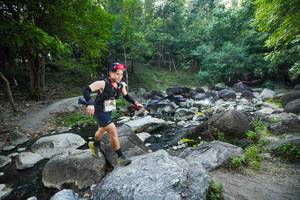 BIB: 
                            <button type="button" onclick="openModal(19516403)" class="btn btn-primary btn-sm float-right btn-popup" data-toggle="modal" data-target=".modal-high-quality">
                        <i class="fas fa-shopping-cart"></i> Add to Cart
                    </button>
                                            <button type="button" onclick="isThisMe(19516403, true)" class="btn btn-success btn-sm float-right btn-popup btn-isme hidden" data-toggle="tooltip" data-placement="bottom" title="นี่คือรูปของคุณใช่ไหม คลิกที่นี่เพื่อเอาเข้าอัลบั้ม">
                        <i class="fas fa-plus"></i> Add to album
                    </button>
                    <button type="button" onclick="isThisMe(19516403, false)" class="btn btn-warning btn-sm float-right btn-popup btn-isnotme hidden">
                        <i class="fas fa-ban"></i> Remove from album
                    </button>