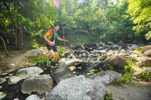 BIB: 
                            <button type="button" onclick="openModal(19516052)" class="btn btn-primary btn-sm float-right btn-popup" data-toggle="modal" data-target=".modal-high-quality">
                        <i class="fas fa-shopping-cart"></i> Add to Cart
                    </button>
                                            <button type="button" onclick="isThisMe(19516052, true)" class="btn btn-success btn-sm float-right btn-popup btn-isme hidden" data-toggle="tooltip" data-placement="bottom" title="นี่คือรูปของคุณใช่ไหม คลิกที่นี่เพื่อเอาเข้าอัลบั้ม">
                        <i class="fas fa-plus"></i> Add to album
                    </button>
                    <button type="button" onclick="isThisMe(19516052, false)" class="btn btn-warning btn-sm float-right btn-popup btn-isnotme hidden">
                        <i class="fas fa-ban"></i> Remove from album
                    </button>