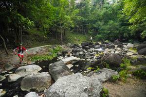 BIB: 
                            <button type="button" onclick="openModal(19516187)" class="btn btn-primary btn-sm float-right btn-popup" data-toggle="modal" data-target=".modal-high-quality">
                        <i class="fas fa-shopping-cart"></i> Add to Cart
                    </button>
                                            <button type="button" onclick="isThisMe(19516187, true)" class="btn btn-success btn-sm float-right btn-popup btn-isme hidden" data-toggle="tooltip" data-placement="bottom" title="นี่คือรูปของคุณใช่ไหม คลิกที่นี่เพื่อเอาเข้าอัลบั้ม">
                        <i class="fas fa-plus"></i> Add to album
                    </button>
                    <button type="button" onclick="isThisMe(19516187, false)" class="btn btn-warning btn-sm float-right btn-popup btn-isnotme hidden">
                        <i class="fas fa-ban"></i> Remove from album
                    </button>