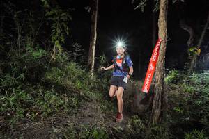 BIB: 
                            <button type="button" onclick="openModal(19441931)" class="btn btn-primary btn-sm float-right btn-popup" data-toggle="modal" data-target=".modal-high-quality">
                        <i class="fas fa-shopping-cart"></i> Add to Cart
                    </button>
                                            <button type="button" onclick="isThisMe(19441931, true)" class="btn btn-success btn-sm float-right btn-popup btn-isme hidden" data-toggle="tooltip" data-placement="bottom" title="นี่คือรูปของคุณใช่ไหม คลิกที่นี่เพื่อเอาเข้าอัลบั้ม">
                        <i class="fas fa-plus"></i> Add to album
                    </button>
                    <button type="button" onclick="isThisMe(19441931, false)" class="btn btn-warning btn-sm float-right btn-popup btn-isnotme hidden">
                        <i class="fas fa-ban"></i> Remove from album
                    </button>