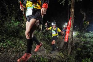 BIB: 
                            <button type="button" onclick="openModal(19449656)" class="btn btn-primary btn-sm float-right btn-popup" data-toggle="modal" data-target=".modal-high-quality">
                        <i class="fas fa-shopping-cart"></i> Add to Cart
                    </button>
                                            <button type="button" onclick="isThisMe(19449656, true)" class="btn btn-success btn-sm float-right btn-popup btn-isme hidden" data-toggle="tooltip" data-placement="bottom" title="นี่คือรูปของคุณใช่ไหม คลิกที่นี่เพื่อเอาเข้าอัลบั้ม">
                        <i class="fas fa-plus"></i> Add to album
                    </button>
                    <button type="button" onclick="isThisMe(19449656, false)" class="btn btn-warning btn-sm float-right btn-popup btn-isnotme hidden">
                        <i class="fas fa-ban"></i> Remove from album
                    </button>