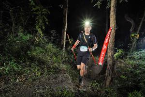 BIB: 
                            <button type="button" onclick="openModal(19444770)" class="btn btn-primary btn-sm float-right btn-popup" data-toggle="modal" data-target=".modal-high-quality">
                        <i class="fas fa-shopping-cart"></i> Add to Cart
                    </button>
                                            <button type="button" onclick="isThisMe(19444770, true)" class="btn btn-success btn-sm float-right btn-popup btn-isme hidden" data-toggle="tooltip" data-placement="bottom" title="นี่คือรูปของคุณใช่ไหม คลิกที่นี่เพื่อเอาเข้าอัลบั้ม">
                        <i class="fas fa-plus"></i> Add to album
                    </button>
                    <button type="button" onclick="isThisMe(19444770, false)" class="btn btn-warning btn-sm float-right btn-popup btn-isnotme hidden">
                        <i class="fas fa-ban"></i> Remove from album
                    </button>