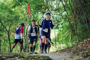 BIB: 
                            <button type="button" onclick="openModal(19461791)" class="btn btn-primary btn-sm float-right btn-popup" data-toggle="modal" data-target=".modal-high-quality">
                        <i class="fas fa-shopping-cart"></i> Add to Cart
                    </button>
                                            <button type="button" onclick="isThisMe(19461791, true)" class="btn btn-success btn-sm float-right btn-popup btn-isme hidden" data-toggle="tooltip" data-placement="bottom" title="นี่คือรูปของคุณใช่ไหม คลิกที่นี่เพื่อเอาเข้าอัลบั้ม">
                        <i class="fas fa-plus"></i> Add to album
                    </button>
                    <button type="button" onclick="isThisMe(19461791, false)" class="btn btn-warning btn-sm float-right btn-popup btn-isnotme hidden">
                        <i class="fas fa-ban"></i> Remove from album
                    </button>