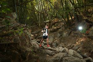 BIB: 
                            <button type="button" onclick="openModal(19550179)" class="btn btn-primary btn-sm float-right btn-popup" data-toggle="modal" data-target=".modal-high-quality">
                        <i class="fas fa-shopping-cart"></i> Add to Cart
                    </button>
                                            <button type="button" onclick="isThisMe(19550179, true)" class="btn btn-success btn-sm float-right btn-popup btn-isme hidden" data-toggle="tooltip" data-placement="bottom" title="นี่คือรูปของคุณใช่ไหม คลิกที่นี่เพื่อเอาเข้าอัลบั้ม">
                        <i class="fas fa-plus"></i> Add to album
                    </button>
                    <button type="button" onclick="isThisMe(19550179, false)" class="btn btn-warning btn-sm float-right btn-popup btn-isnotme hidden">
                        <i class="fas fa-ban"></i> Remove from album
                    </button>