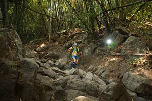 BIB: 
                            <button type="button" onclick="openModal(19550316)" class="btn btn-primary btn-sm float-right btn-popup" data-toggle="modal" data-target=".modal-high-quality">
                        <i class="fas fa-shopping-cart"></i> Add to Cart
                    </button>
                                            <button type="button" onclick="isThisMe(19550316, true)" class="btn btn-success btn-sm float-right btn-popup btn-isme hidden" data-toggle="tooltip" data-placement="bottom" title="นี่คือรูปของคุณใช่ไหม คลิกที่นี่เพื่อเอาเข้าอัลบั้ม">
                        <i class="fas fa-plus"></i> Add to album
                    </button>
                    <button type="button" onclick="isThisMe(19550316, false)" class="btn btn-warning btn-sm float-right btn-popup btn-isnotme hidden">
                        <i class="fas fa-ban"></i> Remove from album
                    </button>