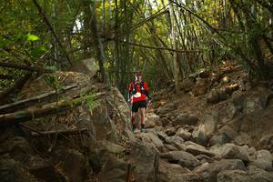 BIB: 
                            <button type="button" onclick="openModal(19550376)" class="btn btn-primary btn-sm float-right btn-popup" data-toggle="modal" data-target=".modal-high-quality">
                        <i class="fas fa-shopping-cart"></i> Add to Cart
                    </button>
                                            <button type="button" onclick="isThisMe(19550376, true)" class="btn btn-success btn-sm float-right btn-popup btn-isme hidden" data-toggle="tooltip" data-placement="bottom" title="นี่คือรูปของคุณใช่ไหม คลิกที่นี่เพื่อเอาเข้าอัลบั้ม">
                        <i class="fas fa-plus"></i> Add to album
                    </button>
                    <button type="button" onclick="isThisMe(19550376, false)" class="btn btn-warning btn-sm float-right btn-popup btn-isnotme hidden">
                        <i class="fas fa-ban"></i> Remove from album
                    </button>