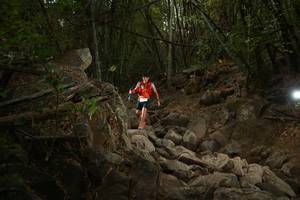 BIB: 
                            <button type="button" onclick="openModal(19550117)" class="btn btn-primary btn-sm float-right btn-popup" data-toggle="modal" data-target=".modal-high-quality">
                        <i class="fas fa-shopping-cart"></i> Add to Cart
                    </button>
                                            <button type="button" onclick="isThisMe(19550117, true)" class="btn btn-success btn-sm float-right btn-popup btn-isme hidden" data-toggle="tooltip" data-placement="bottom" title="นี่คือรูปของคุณใช่ไหม คลิกที่นี่เพื่อเอาเข้าอัลบั้ม">
                        <i class="fas fa-plus"></i> Add to album
                    </button>
                    <button type="button" onclick="isThisMe(19550117, false)" class="btn btn-warning btn-sm float-right btn-popup btn-isnotme hidden">
                        <i class="fas fa-ban"></i> Remove from album
                    </button>