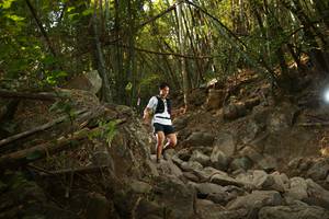 BIB: 
                            <button type="button" onclick="openModal(19550196)" class="btn btn-primary btn-sm float-right btn-popup" data-toggle="modal" data-target=".modal-high-quality">
                        <i class="fas fa-shopping-cart"></i> Add to Cart
                    </button>
                                            <button type="button" onclick="isThisMe(19550196, true)" class="btn btn-success btn-sm float-right btn-popup btn-isme hidden" data-toggle="tooltip" data-placement="bottom" title="นี่คือรูปของคุณใช่ไหม คลิกที่นี่เพื่อเอาเข้าอัลบั้ม">
                        <i class="fas fa-plus"></i> Add to album
                    </button>
                    <button type="button" onclick="isThisMe(19550196, false)" class="btn btn-warning btn-sm float-right btn-popup btn-isnotme hidden">
                        <i class="fas fa-ban"></i> Remove from album
                    </button>