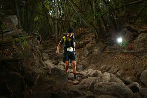 BIB: 
                            <button type="button" onclick="openModal(19550011)" class="btn btn-primary btn-sm float-right btn-popup" data-toggle="modal" data-target=".modal-high-quality">
                        <i class="fas fa-shopping-cart"></i> Add to Cart
                    </button>
                                            <button type="button" onclick="isThisMe(19550011, true)" class="btn btn-success btn-sm float-right btn-popup btn-isme hidden" data-toggle="tooltip" data-placement="bottom" title="นี่คือรูปของคุณใช่ไหม คลิกที่นี่เพื่อเอาเข้าอัลบั้ม">
                        <i class="fas fa-plus"></i> Add to album
                    </button>
                    <button type="button" onclick="isThisMe(19550011, false)" class="btn btn-warning btn-sm float-right btn-popup btn-isnotme hidden">
                        <i class="fas fa-ban"></i> Remove from album
                    </button>