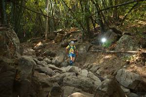 BIB: 
                            <button type="button" onclick="openModal(19550320)" class="btn btn-primary btn-sm float-right btn-popup" data-toggle="modal" data-target=".modal-high-quality">
                        <i class="fas fa-shopping-cart"></i> Add to Cart
                    </button>
                                            <button type="button" onclick="isThisMe(19550320, true)" class="btn btn-success btn-sm float-right btn-popup btn-isme hidden" data-toggle="tooltip" data-placement="bottom" title="นี่คือรูปของคุณใช่ไหม คลิกที่นี่เพื่อเอาเข้าอัลบั้ม">
                        <i class="fas fa-plus"></i> Add to album
                    </button>
                    <button type="button" onclick="isThisMe(19550320, false)" class="btn btn-warning btn-sm float-right btn-popup btn-isnotme hidden">
                        <i class="fas fa-ban"></i> Remove from album
                    </button>