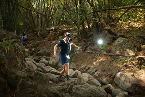 BIB: 
                            <button type="button" onclick="openModal(19550183)" class="btn btn-primary btn-sm float-right btn-popup" data-toggle="modal" data-target=".modal-high-quality">
                        <i class="fas fa-shopping-cart"></i> Add to Cart
                    </button>
                                            <button type="button" onclick="isThisMe(19550183, true)" class="btn btn-success btn-sm float-right btn-popup btn-isme hidden" data-toggle="tooltip" data-placement="bottom" title="นี่คือรูปของคุณใช่ไหม คลิกที่นี่เพื่อเอาเข้าอัลบั้ม">
                        <i class="fas fa-plus"></i> Add to album
                    </button>
                    <button type="button" onclick="isThisMe(19550183, false)" class="btn btn-warning btn-sm float-right btn-popup btn-isnotme hidden">
                        <i class="fas fa-ban"></i> Remove from album
                    </button>