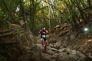 BIB: 
                            <button type="button" onclick="openModal(19550311)" class="btn btn-primary btn-sm float-right btn-popup" data-toggle="modal" data-target=".modal-high-quality">
                        <i class="fas fa-shopping-cart"></i> Add to Cart
                    </button>
                                            <button type="button" onclick="isThisMe(19550311, true)" class="btn btn-success btn-sm float-right btn-popup btn-isme hidden" data-toggle="tooltip" data-placement="bottom" title="นี่คือรูปของคุณใช่ไหม คลิกที่นี่เพื่อเอาเข้าอัลบั้ม">
                        <i class="fas fa-plus"></i> Add to album
                    </button>
                    <button type="button" onclick="isThisMe(19550311, false)" class="btn btn-warning btn-sm float-right btn-popup btn-isnotme hidden">
                        <i class="fas fa-ban"></i> Remove from album
                    </button>