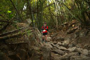 BIB: 
                            <button type="button" onclick="openModal(19550377)" class="btn btn-primary btn-sm float-right btn-popup" data-toggle="modal" data-target=".modal-high-quality">
                        <i class="fas fa-shopping-cart"></i> Add to Cart
                    </button>
                                            <button type="button" onclick="isThisMe(19550377, true)" class="btn btn-success btn-sm float-right btn-popup btn-isme hidden" data-toggle="tooltip" data-placement="bottom" title="นี่คือรูปของคุณใช่ไหม คลิกที่นี่เพื่อเอาเข้าอัลบั้ม">
                        <i class="fas fa-plus"></i> Add to album
                    </button>
                    <button type="button" onclick="isThisMe(19550377, false)" class="btn btn-warning btn-sm float-right btn-popup btn-isnotme hidden">
                        <i class="fas fa-ban"></i> Remove from album
                    </button>