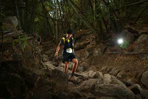 BIB: 
                            <button type="button" onclick="openModal(19550010)" class="btn btn-primary btn-sm float-right btn-popup" data-toggle="modal" data-target=".modal-high-quality">
                        <i class="fas fa-shopping-cart"></i> Add to Cart
                    </button>
                                            <button type="button" onclick="isThisMe(19550010, true)" class="btn btn-success btn-sm float-right btn-popup btn-isme hidden" data-toggle="tooltip" data-placement="bottom" title="นี่คือรูปของคุณใช่ไหม คลิกที่นี่เพื่อเอาเข้าอัลบั้ม">
                        <i class="fas fa-plus"></i> Add to album
                    </button>
                    <button type="button" onclick="isThisMe(19550010, false)" class="btn btn-warning btn-sm float-right btn-popup btn-isnotme hidden">
                        <i class="fas fa-ban"></i> Remove from album
                    </button>