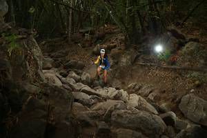 BIB: 
                            <button type="button" onclick="openModal(19549972)" class="btn btn-primary btn-sm float-right btn-popup" data-toggle="modal" data-target=".modal-high-quality">
                        <i class="fas fa-shopping-cart"></i> Add to Cart
                    </button>
                                            <button type="button" onclick="isThisMe(19549972, true)" class="btn btn-success btn-sm float-right btn-popup btn-isme hidden" data-toggle="tooltip" data-placement="bottom" title="นี่คือรูปของคุณใช่ไหม คลิกที่นี่เพื่อเอาเข้าอัลบั้ม">
                        <i class="fas fa-plus"></i> Add to album
                    </button>
                    <button type="button" onclick="isThisMe(19549972, false)" class="btn btn-warning btn-sm float-right btn-popup btn-isnotme hidden">
                        <i class="fas fa-ban"></i> Remove from album
                    </button>